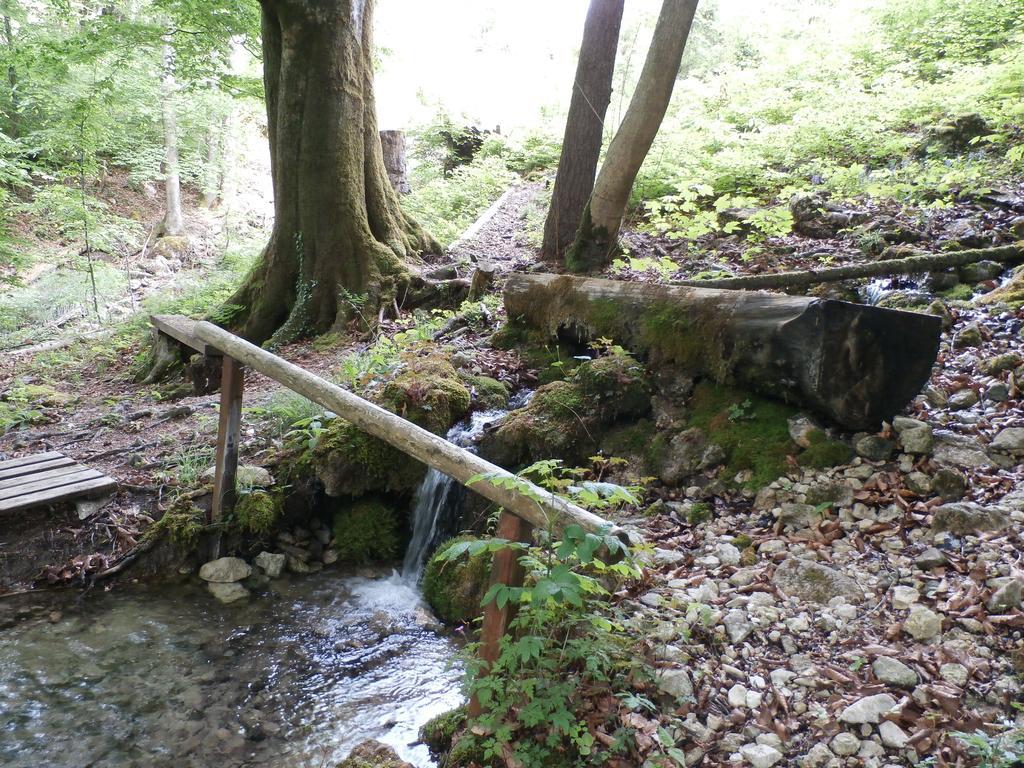Kraeuterhof Miesrigl Villa Losenstein Bagian luar foto