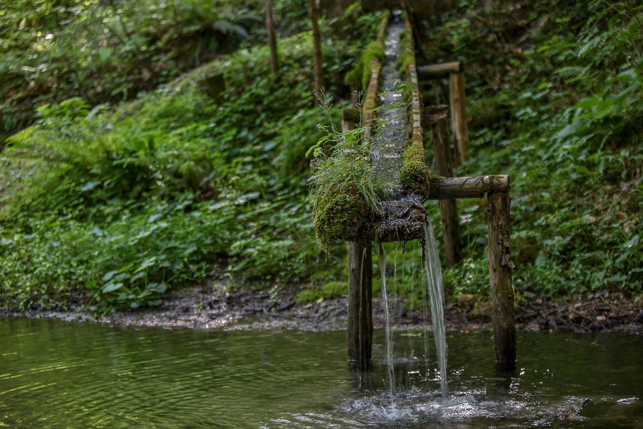 Kraeuterhof Miesrigl Villa Losenstein Bagian luar foto